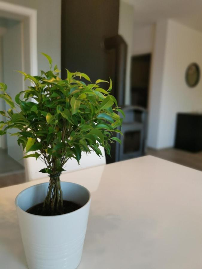 Ferienwohnung Auf Villa Hendschhof 圣温德尔 外观 照片
