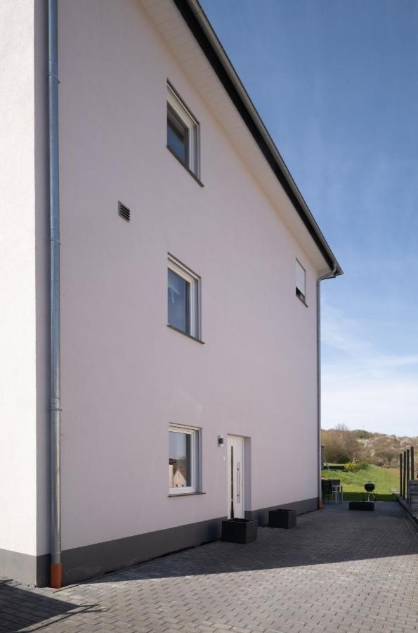 Ferienwohnung Auf Villa Hendschhof 圣温德尔 外观 照片